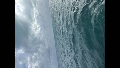 Cruise And Views