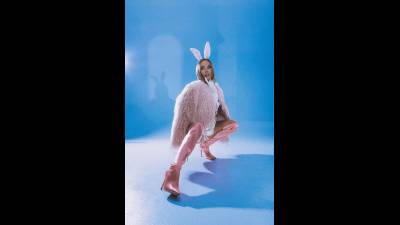 Follow The Bunny