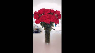 50 Red Or White Roses