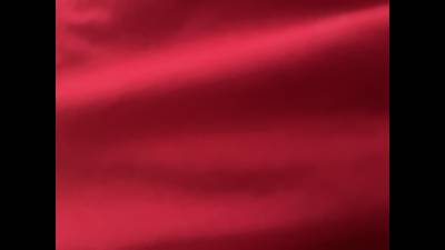 Daily Findom Goddess Luxury Foot Worship