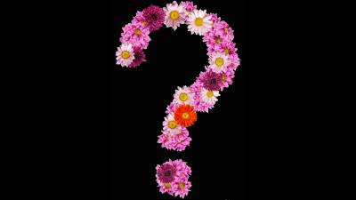 Trash Picture Ft Sponge