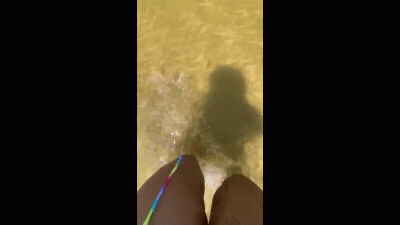 Fun In Sun