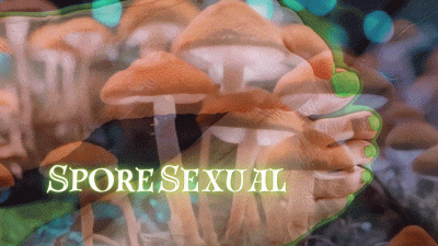Sporesexual: Witch Goddess Devora Moore Enchants Her Foot Odor With Mindfuck Mushrooms Ft Octogoddess Sweaty Feet