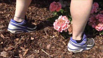 Spezialmenu Nach Der Gartenarbeit