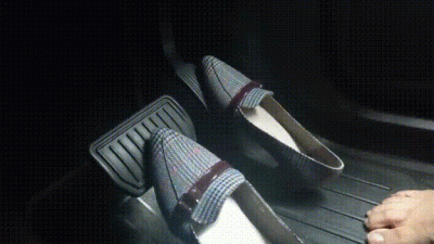 Grey Flats Tesla Relaxing