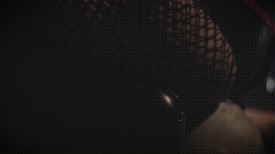 Smothered, Trampled & Punished