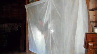 Erotic Teases Curtain Cuck Show