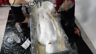 Complete Plaster Bondage Box