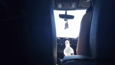 Vegas Rideshare