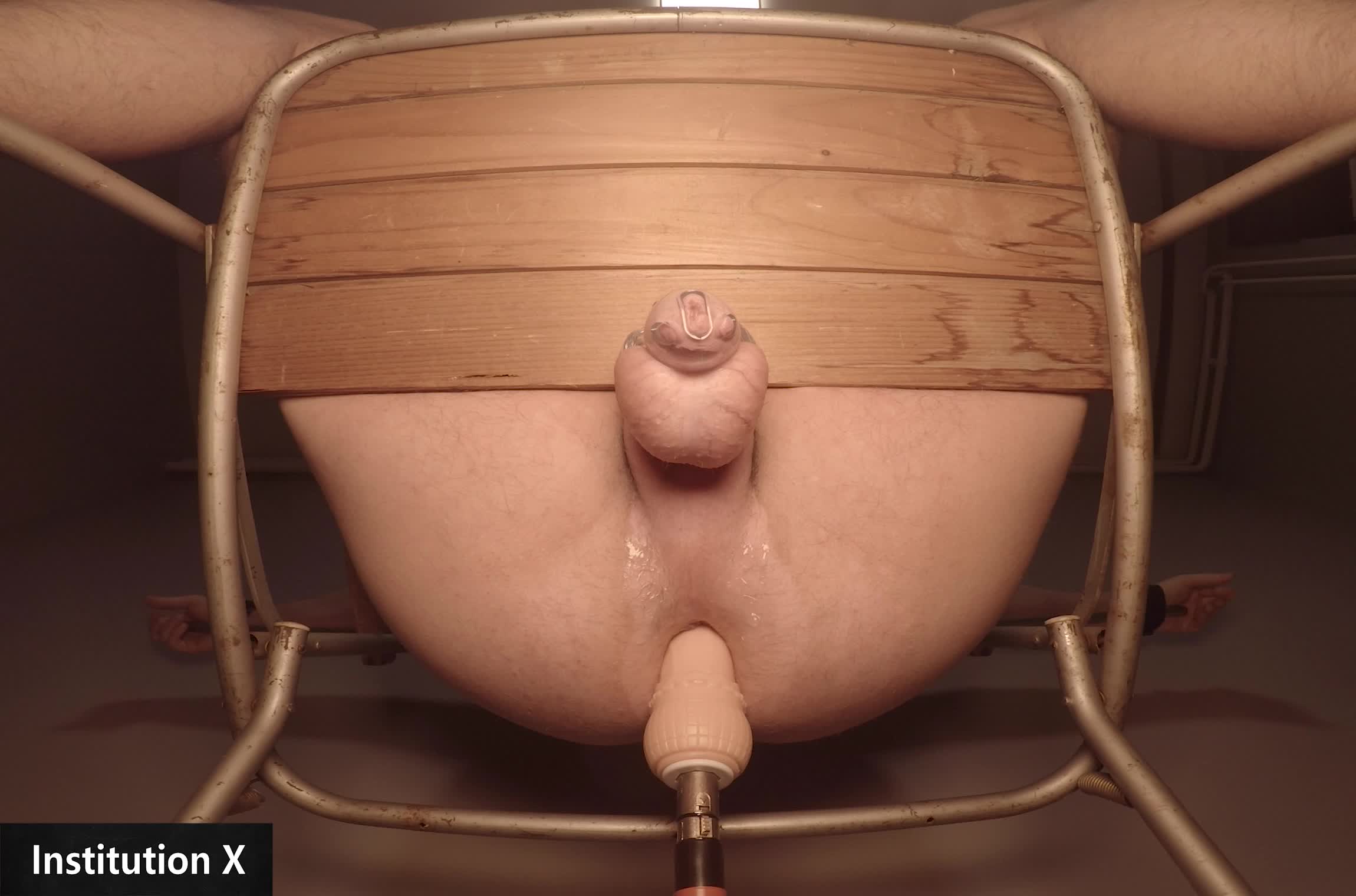 Mushuk qiynoqlar porno