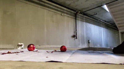 A Smashing Good Time 2