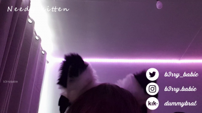 Needy Kitten