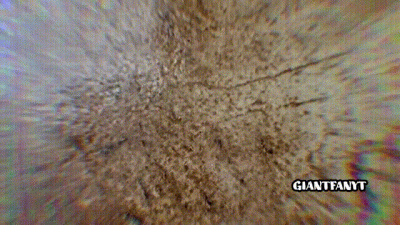 Nope (The Macro Film)