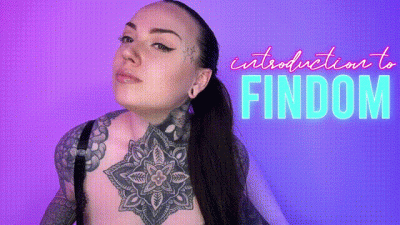 Introduction To Findom