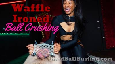 Squeezing Your Worthless Balls Flat As A Waffle- Miss Dani Synclair
