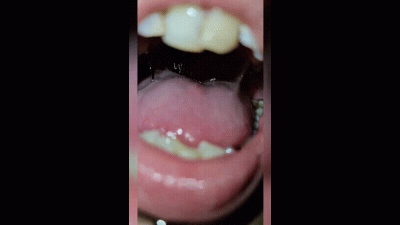 Gummy Swallows