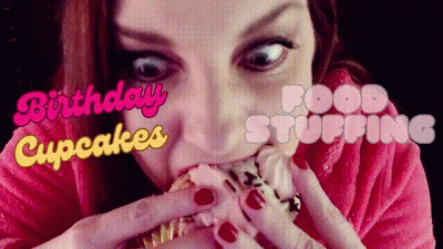 Birthday Cupcakes Food Stuffing