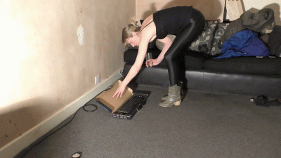 Chelsea Stomping On Computer Keyboard And Mouse