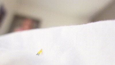 Vore | Giantess Attacks You And Having Fun