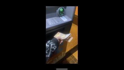 Paypig