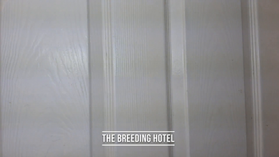 The Breeding Hotel