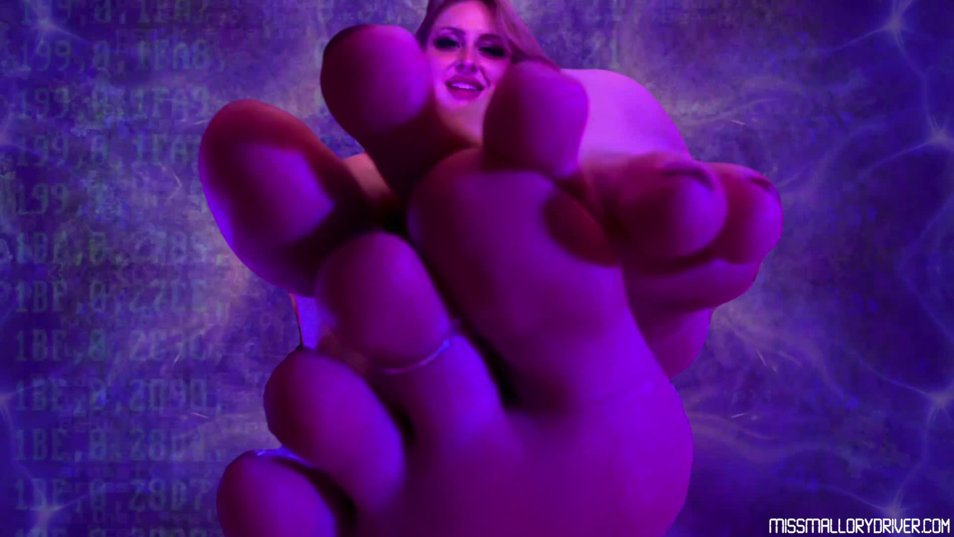 Subroutine D: Collared Mindset