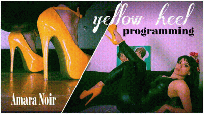 Yellow Heel Programming