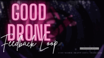 Good Drone Feedback Loop