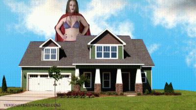 Giant Hero Terramizu