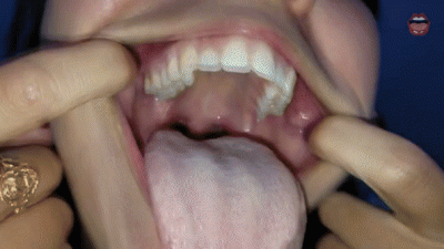 Tour & Explore My Mouth Peko Lux