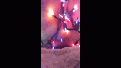 Masterbating With Xmas Lights