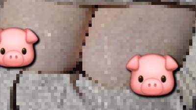 You're A Financial Pig Aren't You? Come On Piggy. Crawl To Your Mistress With Your Wallet In Your Mouth. Snap Snap!