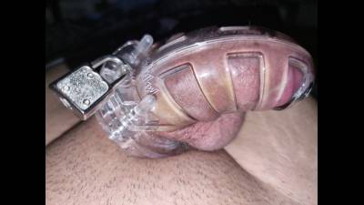 My Cuckold Husband On Testosterone Injections And Cialis Tabs,2 Weeks Locked And Suffering In His Chastity Cage