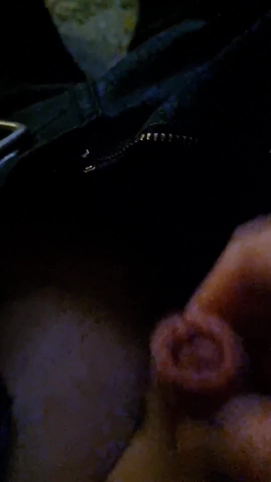 Crawl On All Fours To The Computer With Your Credit Card Between Your Snout And Binge!
