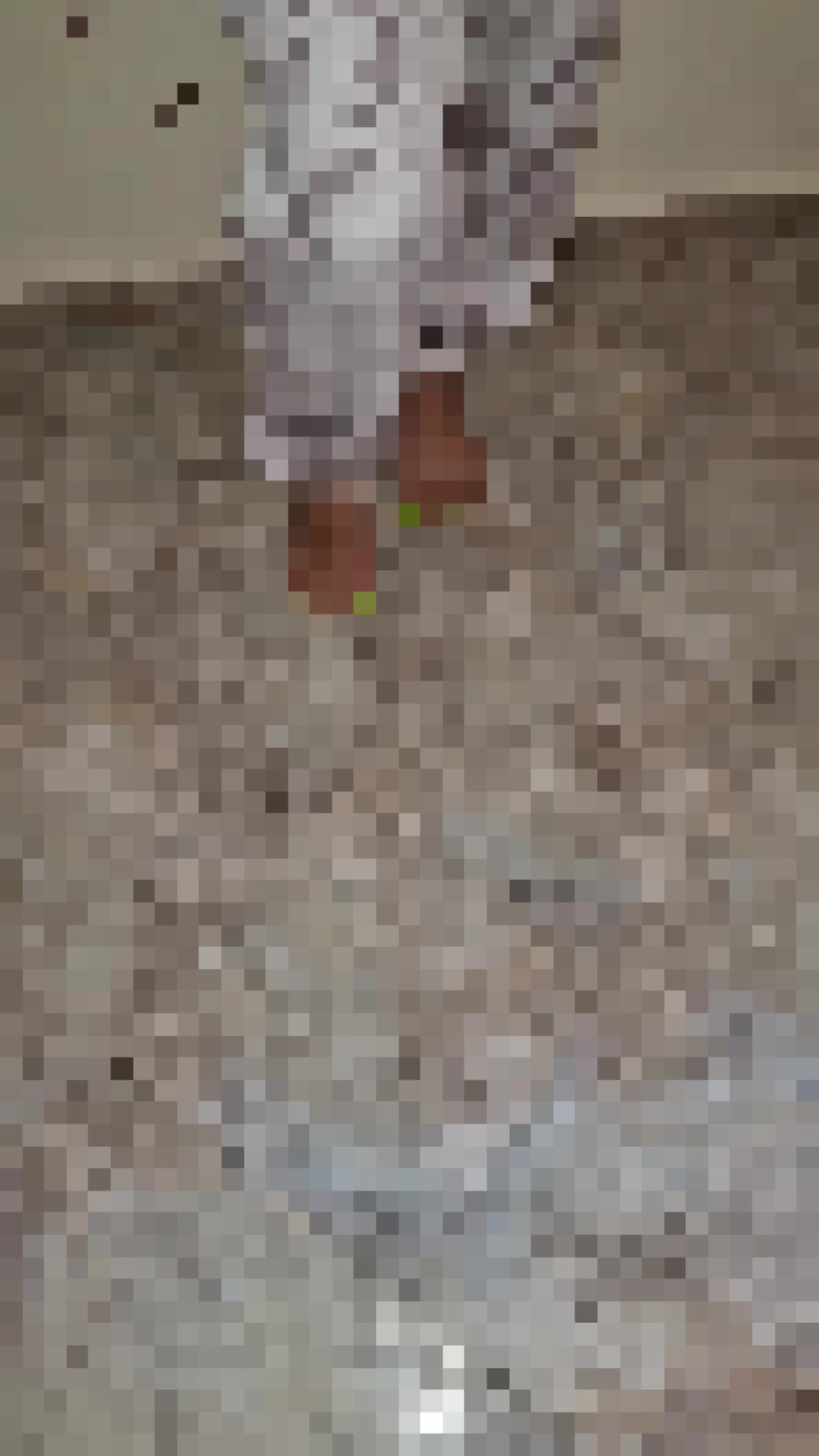 Crawl To Your Trough And Feast On My Porn. I Have You By The Balls Don't I Pig? Say It! Say It Now!