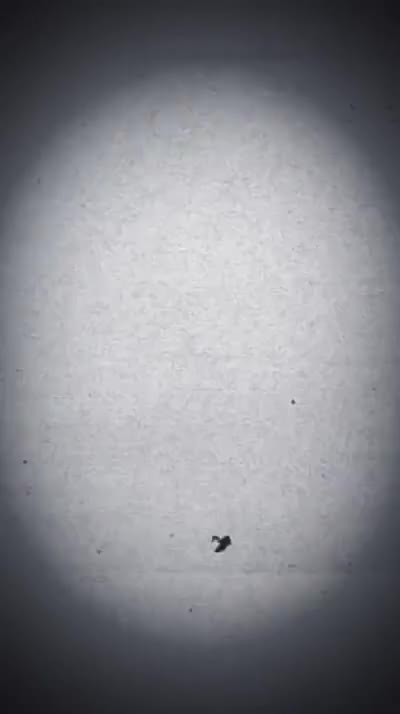 Gooin To The Goonesphere