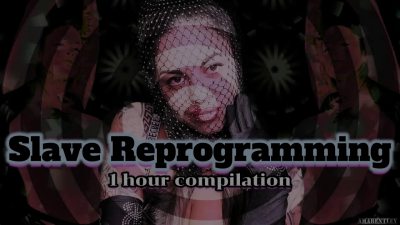 Slave Reprogramming Compilation