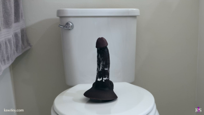 The Housewife's Affair IX 4K Hdr