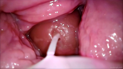 Creampie Me Over And Over 720P