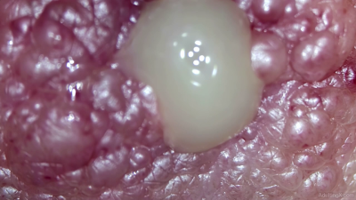 Titty Juice Expression Ultra Close-Up