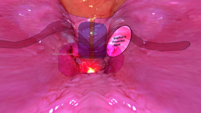 Vagina Sensations Map