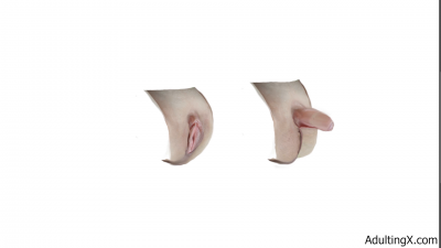 Female Anatomy And Homology