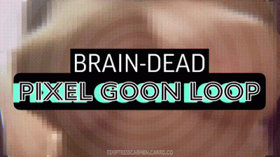 Brain-Dead Pixel Goon Loop