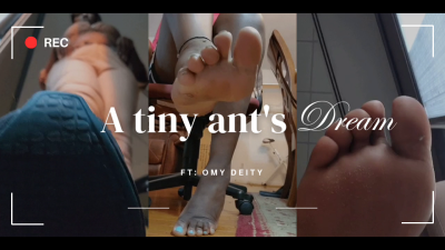 A Tiny Ant's Dream