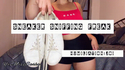 Sneaker Sniffing Freak