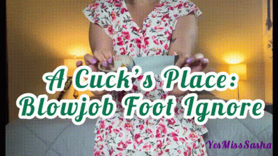 A Cuck's Place: Blowjob Foot Ignore