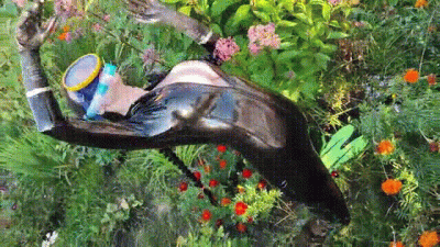 Swimming In Very Cold Water And Holding My Breath Underwater In An Outdoor Pool While Wearing A Latex Catsuit, New Fins And A New Diving Mask