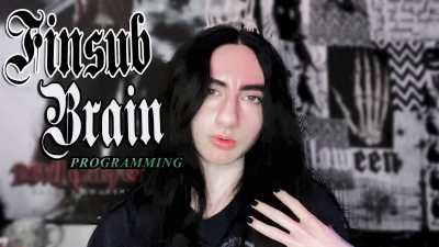 Finsub Brain Programming