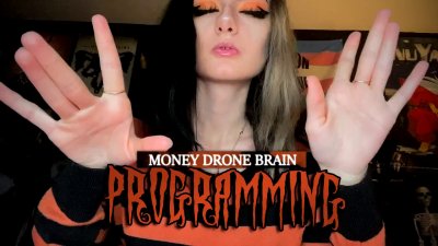 Money Drone Brain Programming