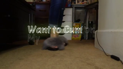 Are You Getting Lost In The Fantasy Of My Furry Slides Caressing Your Cock